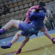 Fan Engagement & Commercialization Guide 2024